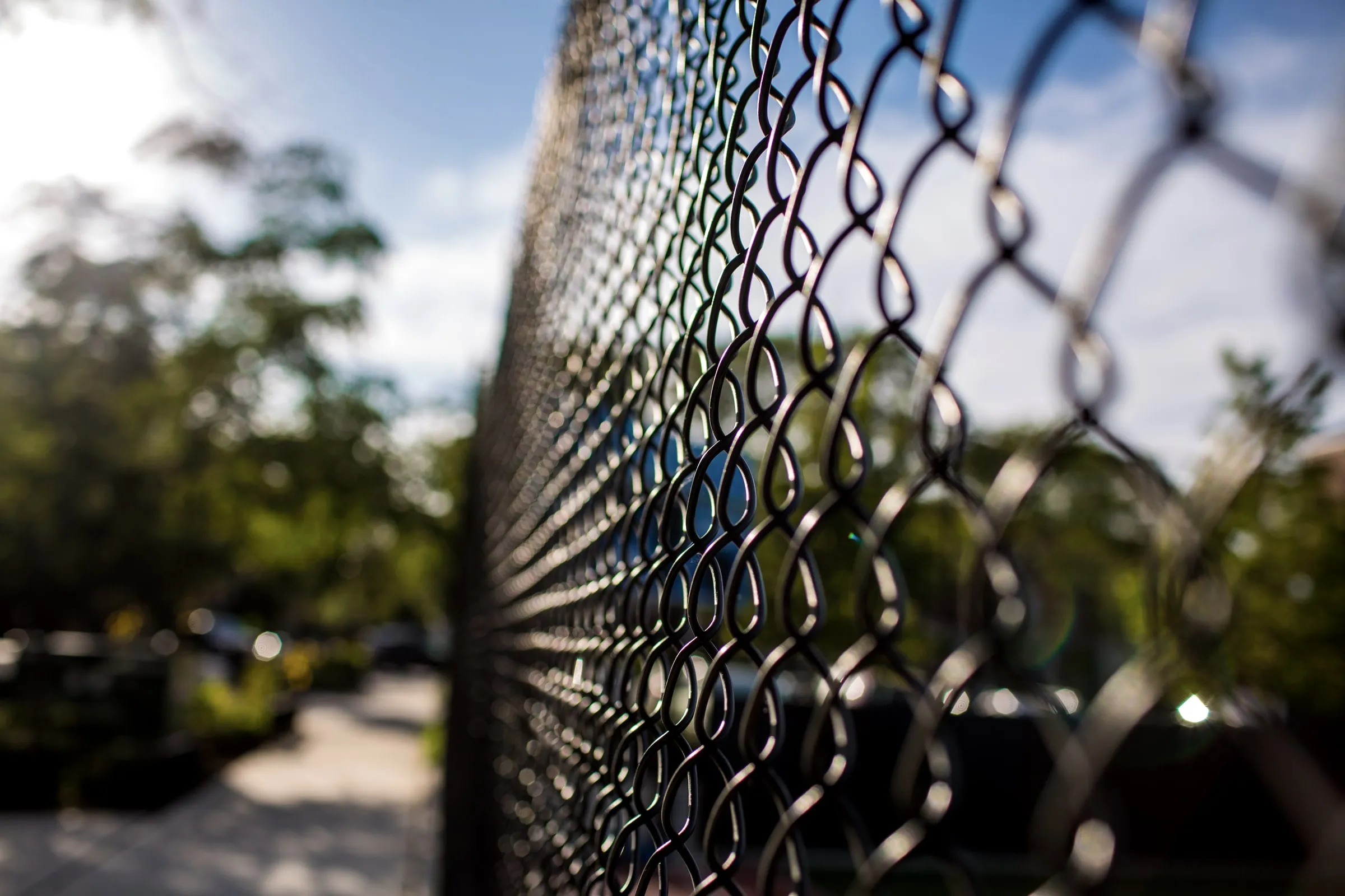 Close-up of a chain-link fence with a torn section, sunlit trees and buildings blurred behind it