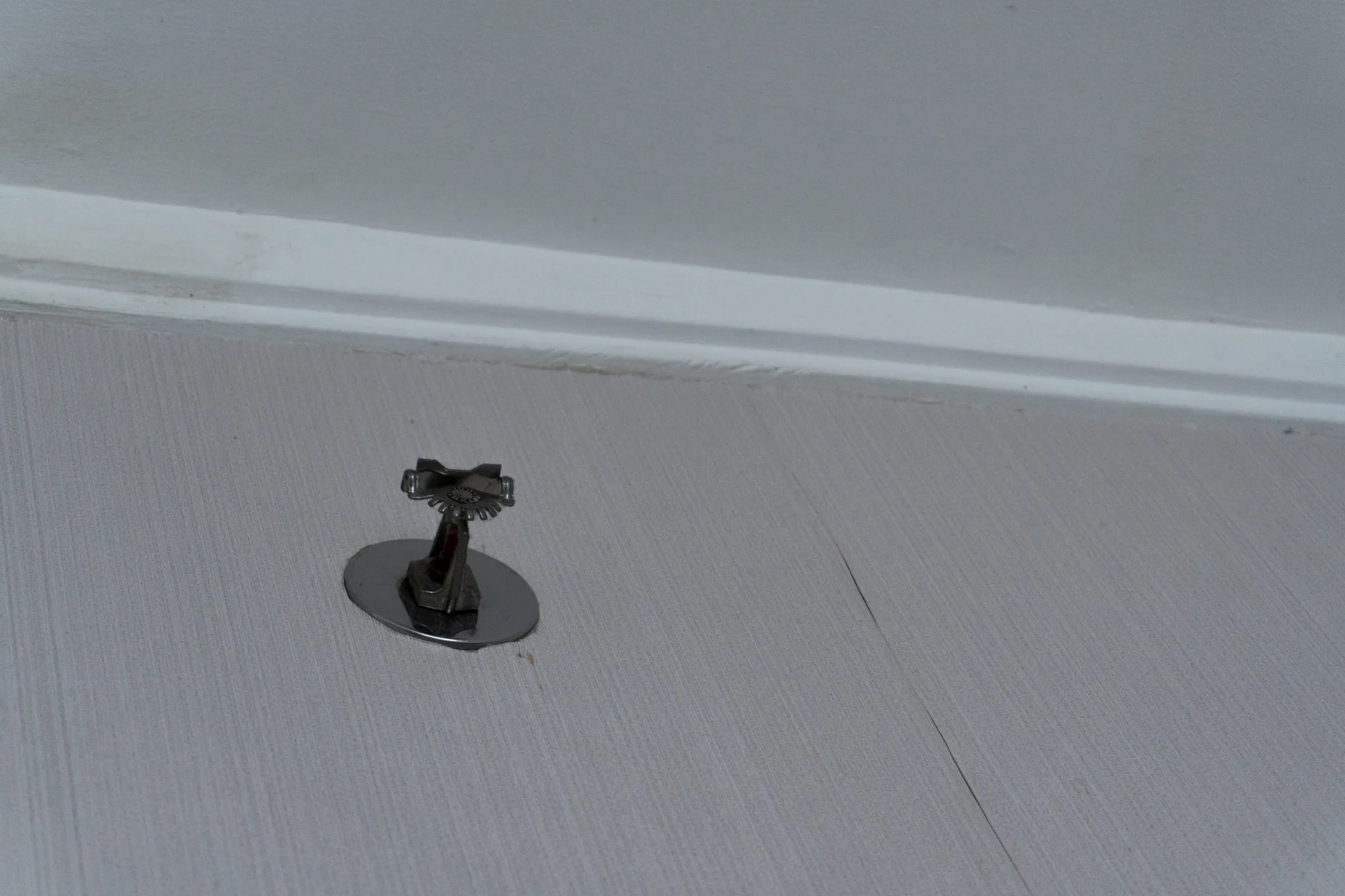 Small pendent fire sprinkler head mounted in a white ceiling, viewed from below