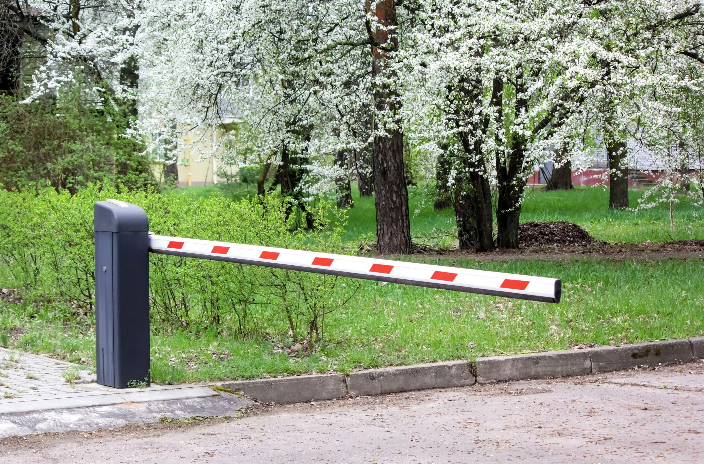 Red-and-white barrier arm across a park road with a flowering tree behind