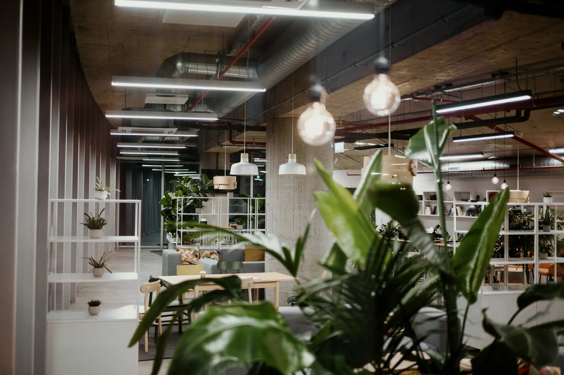 Open coworking floor with hanging pendant bulbs, shared desks, low white shelving and large potted plants dividing seating areas