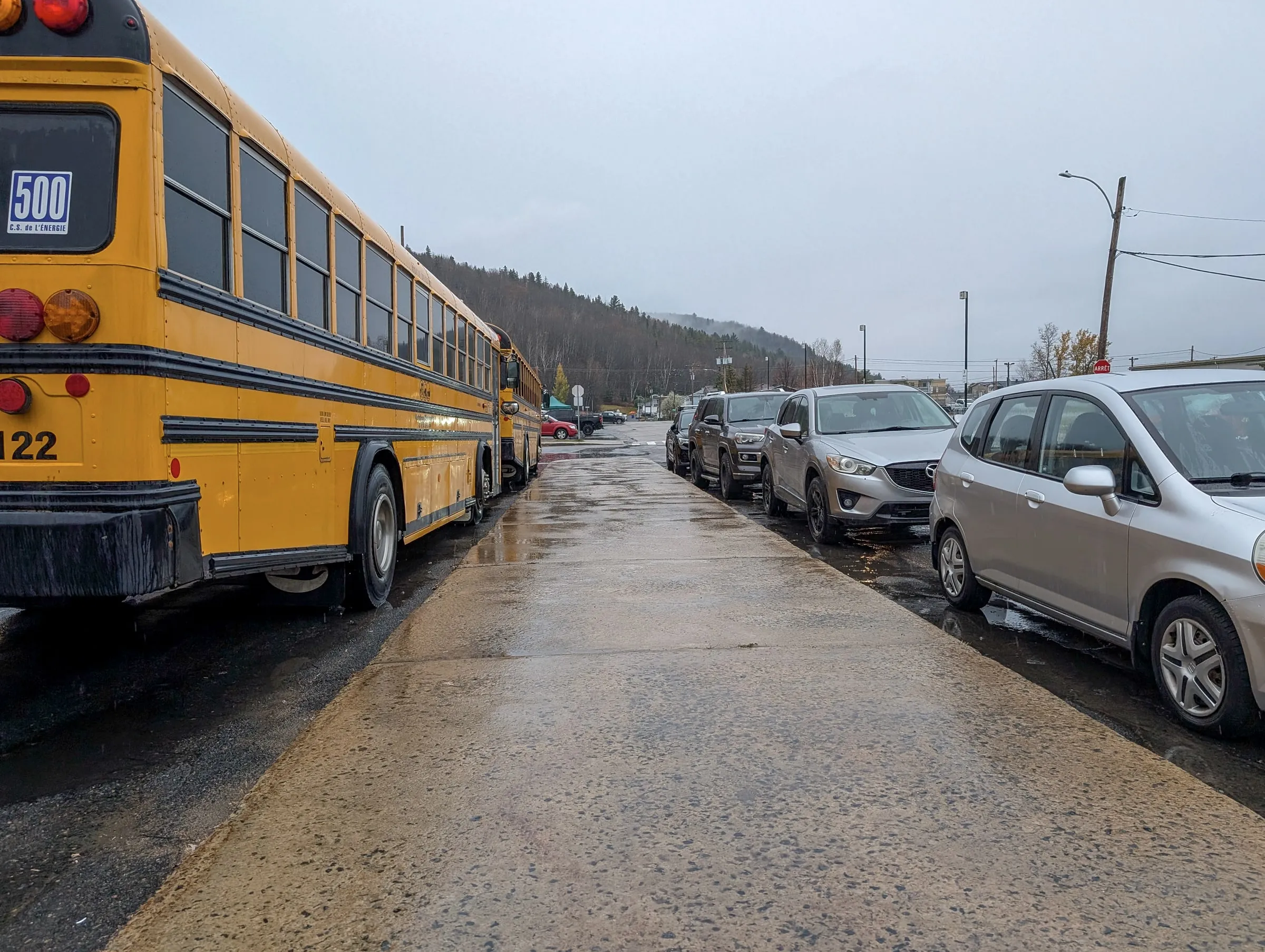 Rear view of a parked yellow school bus beside a line of cars along a wet parking lot on an overcast day