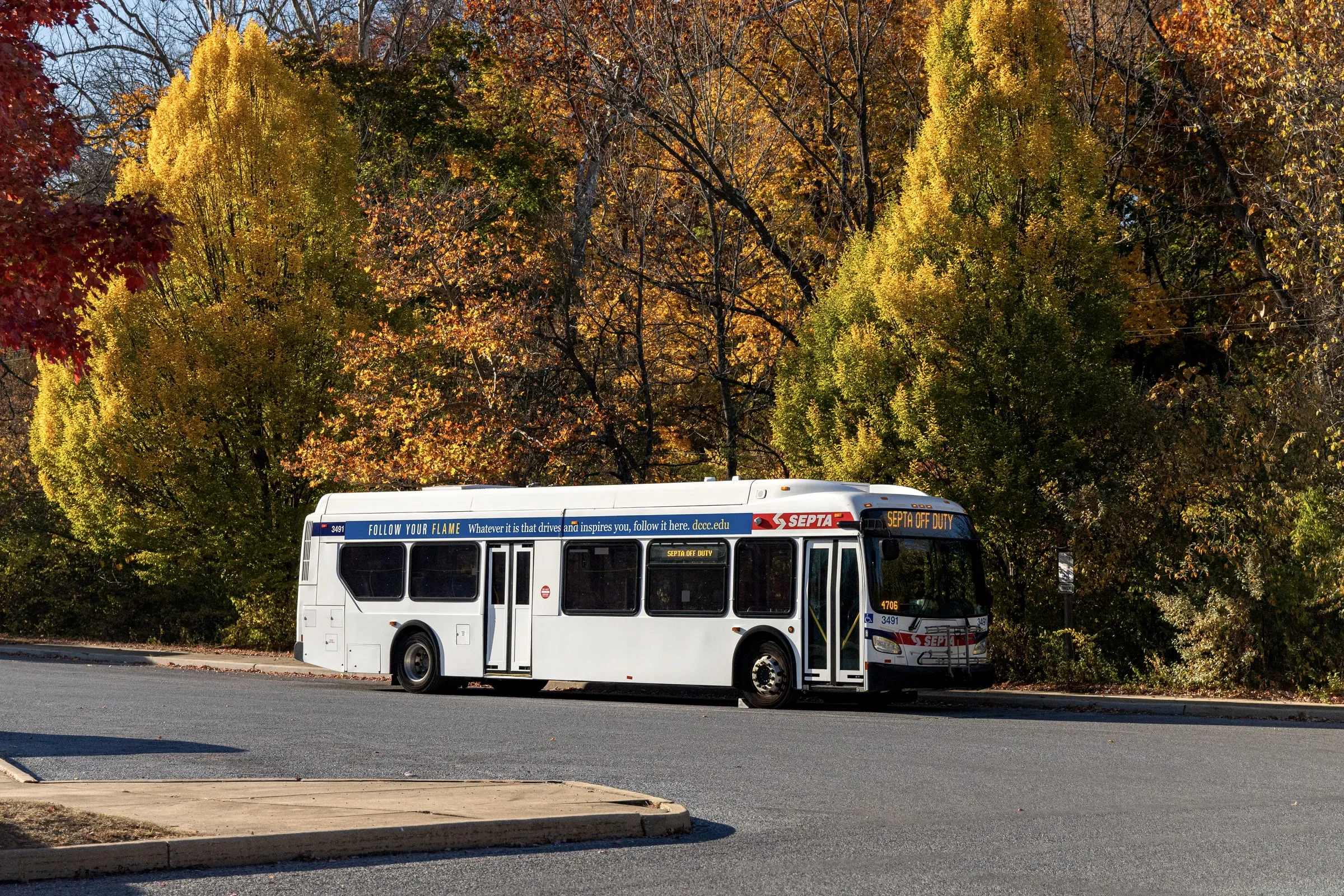 Transit bus stopped at a curb beneath autumn trees