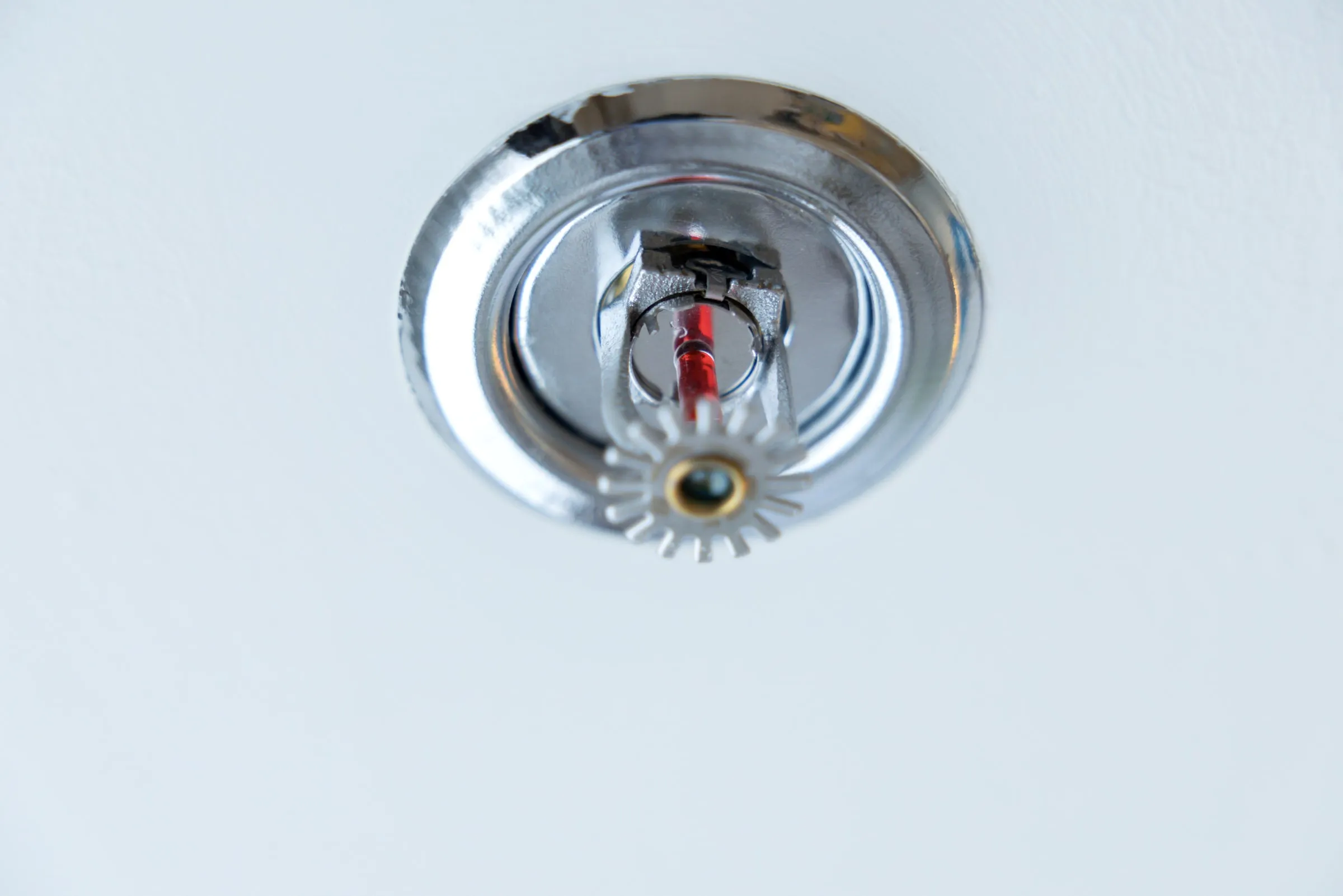 Close-up of a chrome pendant fire sprinkler head mounted in a white ceiling with its red heat-sensitive element visible at the center