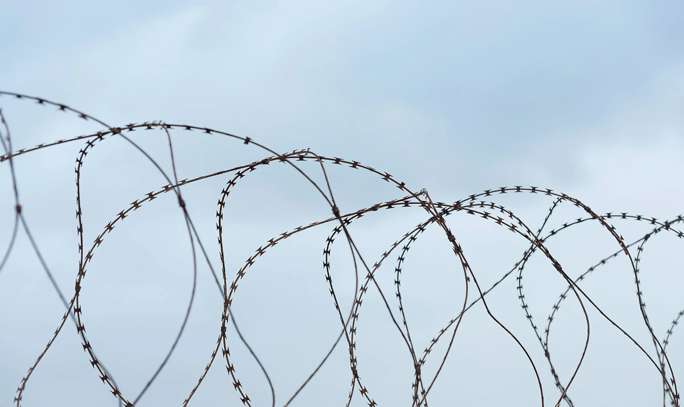 Coils of razor wire against a hazy sky along the top of a security fence