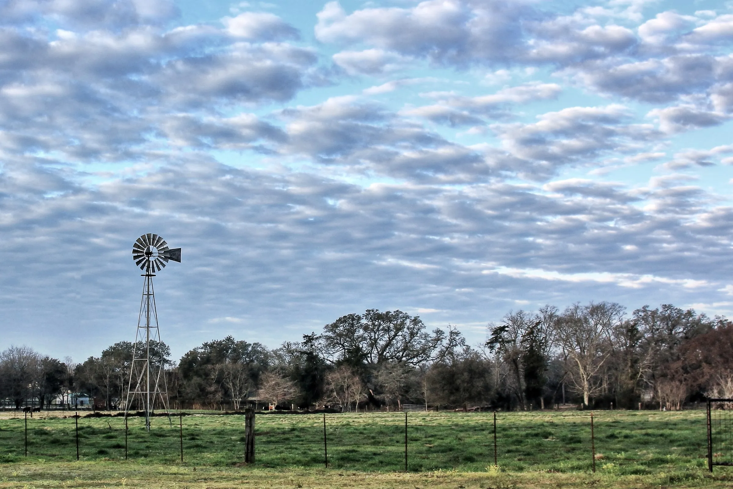 Windmill and fenced pasture under a sky of scattered clouds, with a line of trees behind